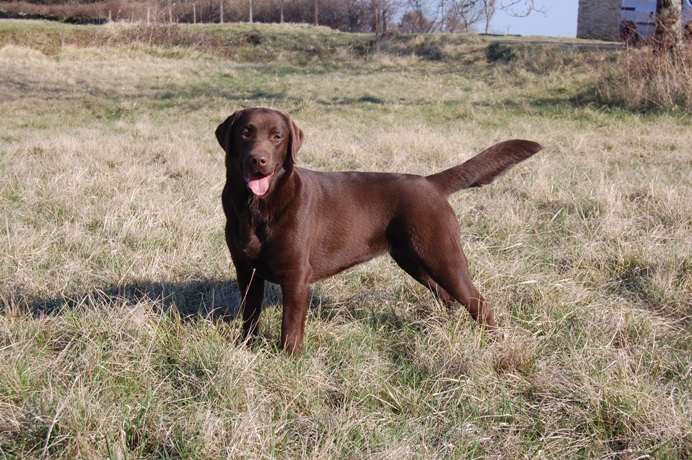 Daisy Du domaine de florange